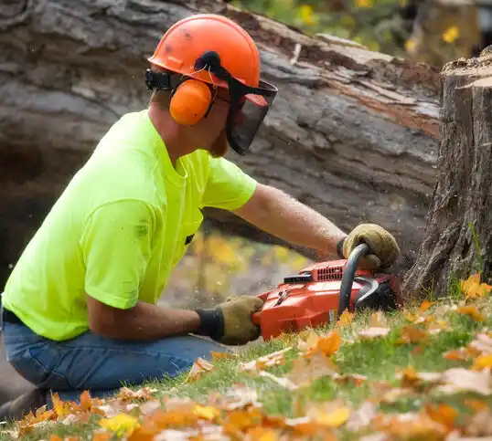 tree services Byron Center